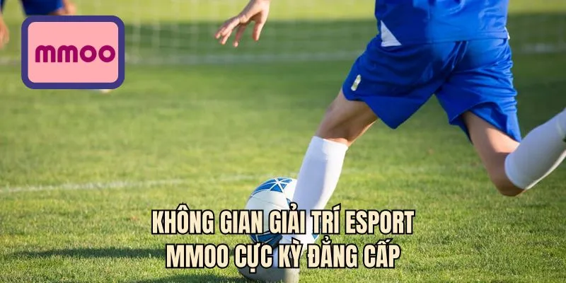 Không gian giải trí Esport MMOO cực kỳ đẳng cấp