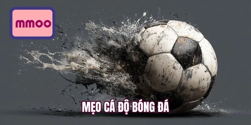 Mẹo cá độ bóng đá