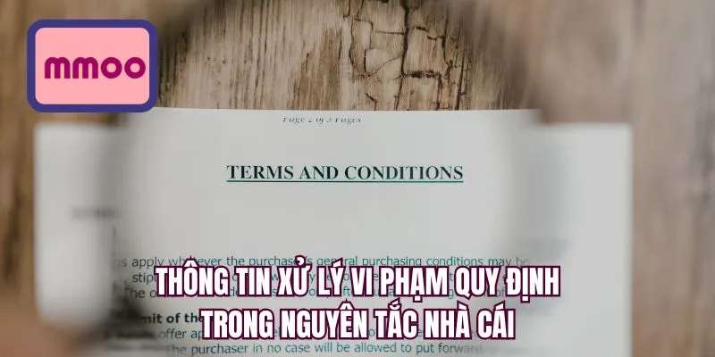 Thông tin xử lý vi phạm quy định trong nguyên tắc nhà cái